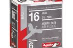 AGUILA 16GA 2.75" 1-1/8OZ 1240FPS #6 AMMO 25RDS