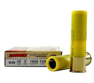 BARNES 20GA 3" 250GR SABOT SLUG 5RDS