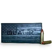 HORNADY BLACK 450 BUSHMASTER 250GR FTX AMMO 20RDS