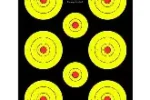 THOMPSON TARGETS 5CT