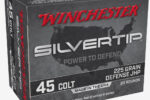 WINCHESTER SILVER TIP 22WMR 40GR DEFENSE AMMO 50RDS