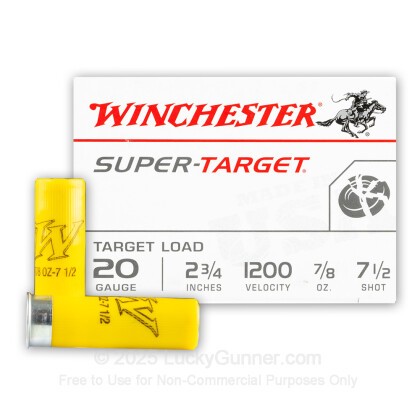winchester 20 Gauge – 250rd