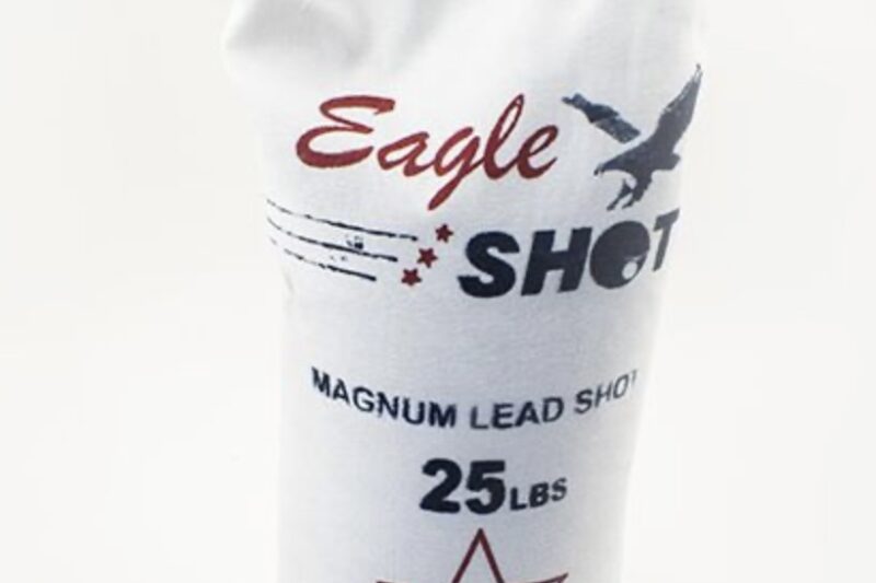 Screenshot EAGLE MAGNUM SHOT