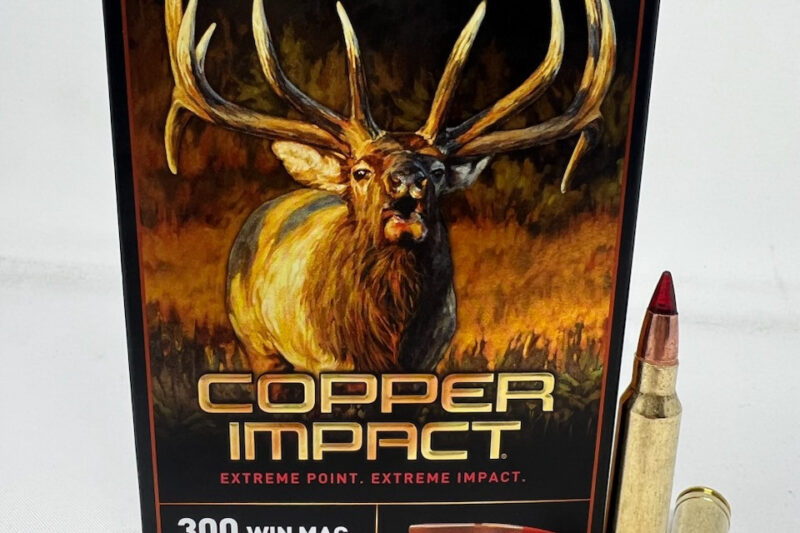 WINCHESTER COPPER IMPACT 300 WIN MAG 180GR AMMO 20RDS WINCHESTER COPPER IMPACT 300 WIN MAG 180GR AMMO 20RDS
