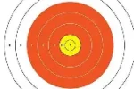 3006 OUTDOORS 100YD TARGET 20CT