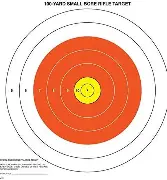 3006 OUTDOORS 100YD TARGET 20CT