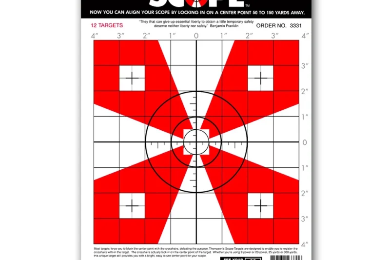 THOMPSON TARGET 8" X 8" 12CT