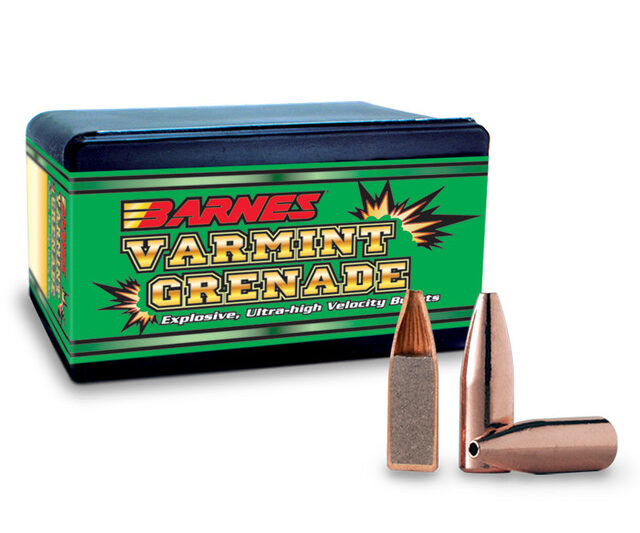 BARNES .243" VG 62gr