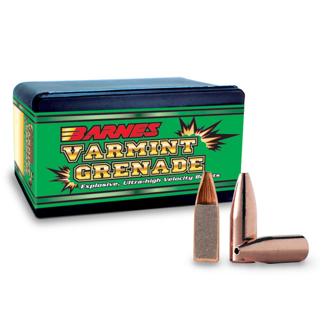 BARNES .243" VG 62gr