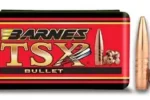 BARNES 45-70 250GR BULLET 20CT