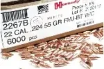 HRN 22CAL 55GR SP-BT W/CAN BULK 6000CT