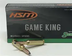 HSM_300_HH_165GR_SBT_20CT HSM 300 H&H 165GR SBT 20CT
