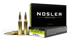 NOSLER 243 WINCHESTER 90GR BALLISTIC TIP AMMO 20RDS