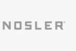 NOSLER PARTITION .375 300 GR 50CT BULLETS