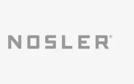 NOSLER PARTITION .375 300 GR 50CT BULLETS