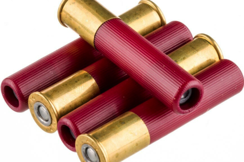 CASCADE AMMO 410GA 2.50" #4