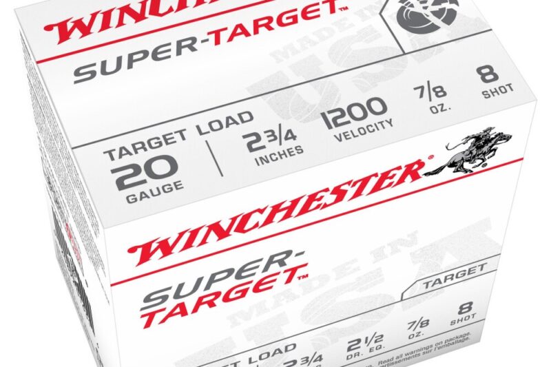 WINCHESTER SUPER TARGET 20GA #8
