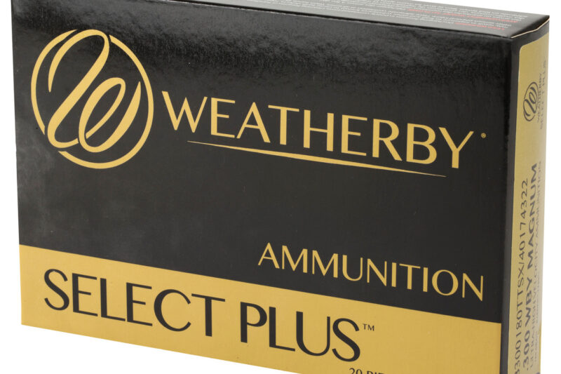 WEATHERBY .300 180gr TTSX
