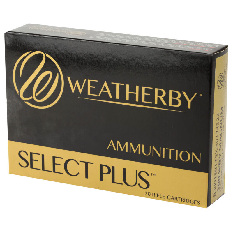 WEATHERBY .300 180gr TTSX