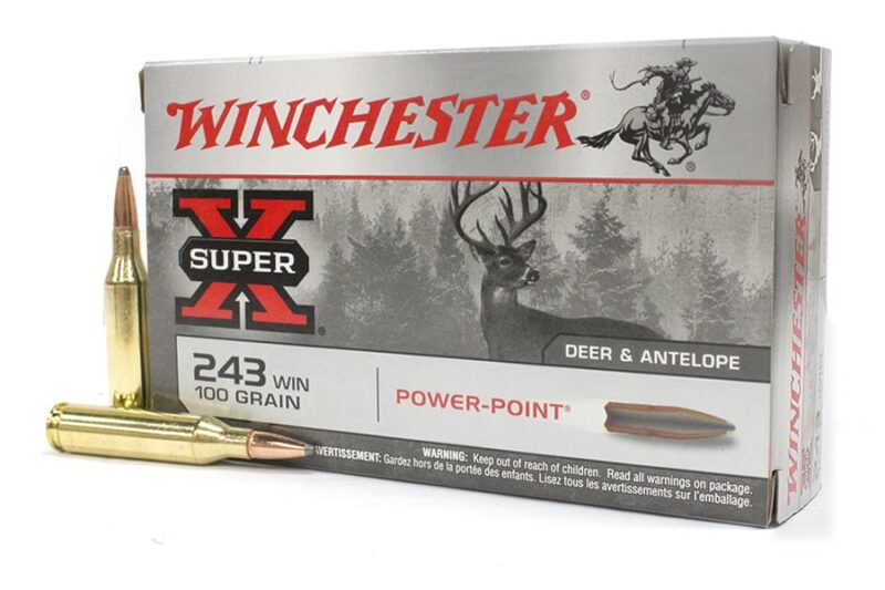 WINCHESTER SUPER-X 243 WIN 100GR PP AMMO 20RDS