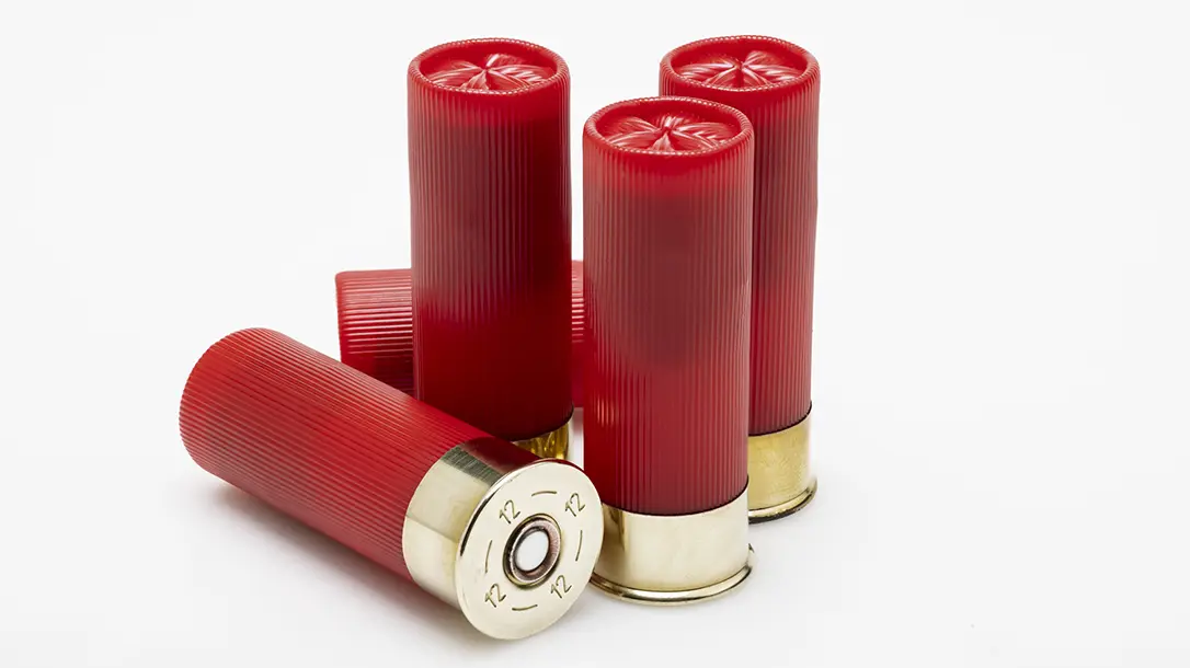 shotgunammo REMINGTON 16GA 2.75 1200FPS 1oz #8 AMMO 250CT- CASE