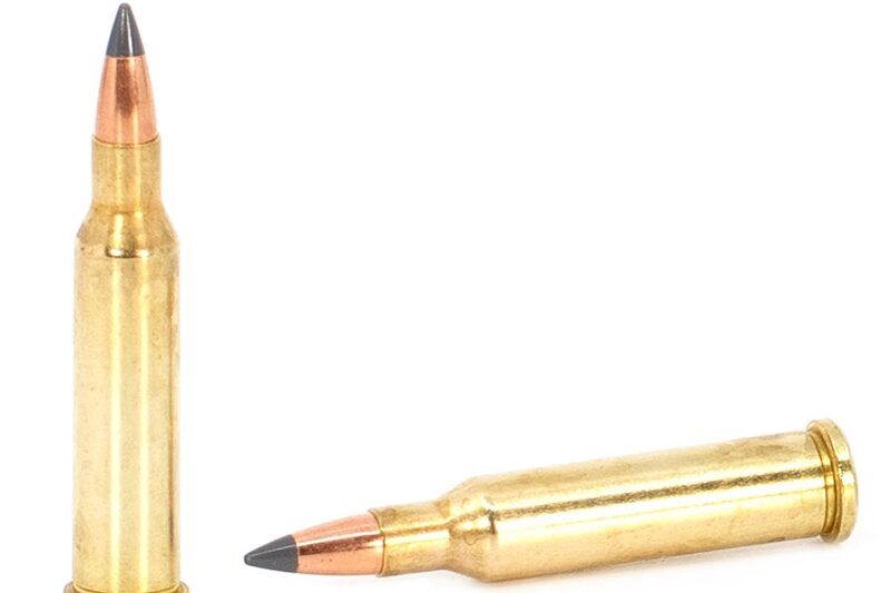 FEDERAL PREMIUM 30-06 SPRG 180GR NOSLER PARTITION AMMO 20RDS