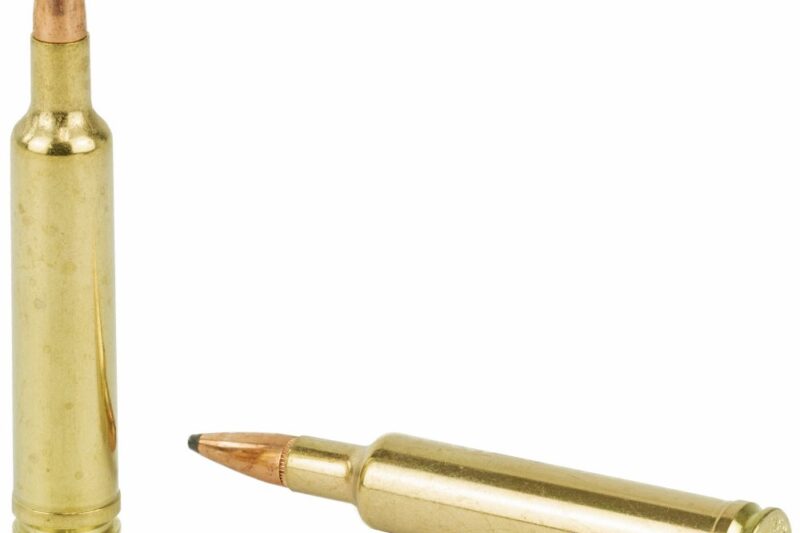 FEDERAL PREMIUM 30-06 SPRG 180GR NOSLER PARTITION AMMO 20RDS