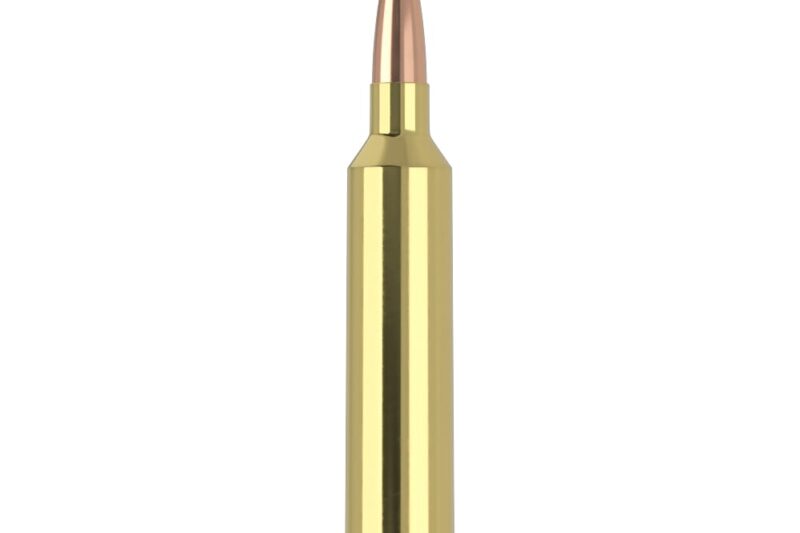 FEDERAL PREMIUM 30-06 SPRG 180GR NOSLER PARTITION AMMO 20RDS