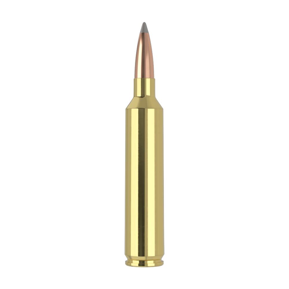 26 NOSLER AMMO NOSLER TROPHY GRADE 26 NOSLER 142GR ACCUBOND-LR AMMO 20RDS