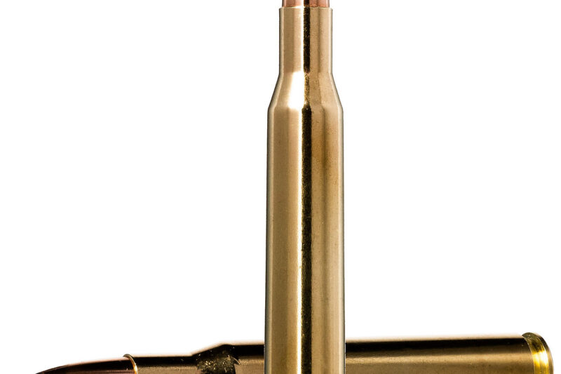 FEDERAL PREMIUM 30-06 SPRG 180GR NOSLER PARTITION AMMO 20RDS