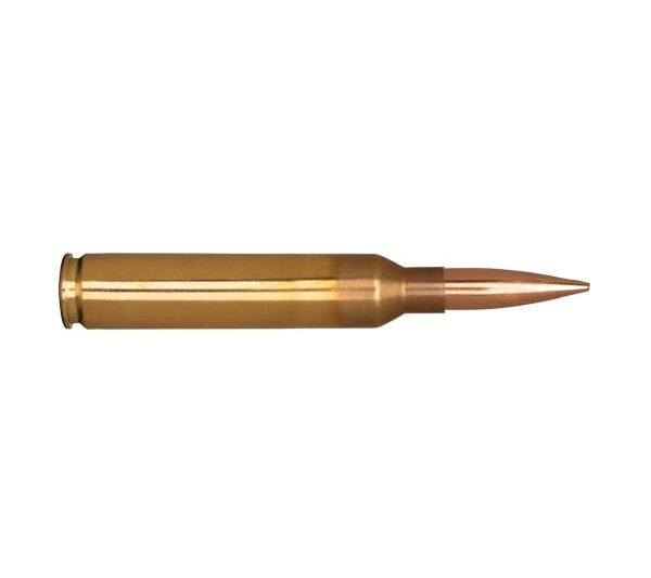 FEDERAL PREMIUM 30-06 SPRG 180GR NOSLER PARTITION AMMO 20RDS