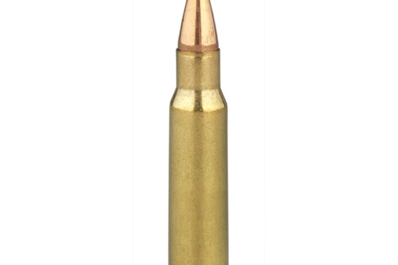 FEDERAL PREMIUM 30-06 SPRG 180GR NOSLER PARTITION AMMO 20RDS