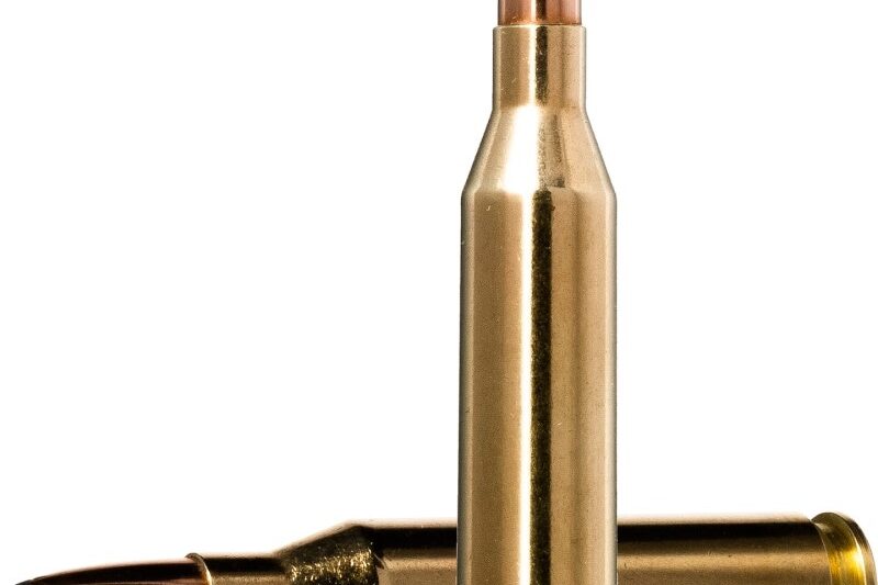FEDERAL PREMIUM 30-06 SPRG 180GR NOSLER PARTITION AMMO 20RDS