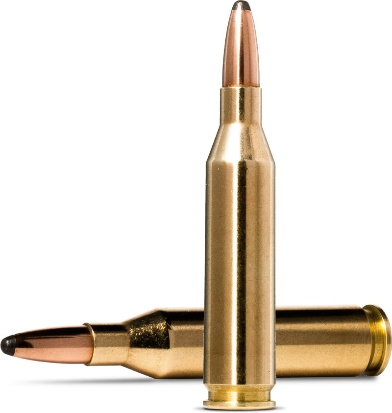 SB 5.6X52R FMJ 70GR (22 SAVAGE HP)
