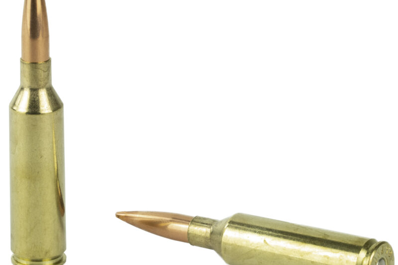 FEDERAL PREMIUM 30-06 SPRG 180GR NOSLER PARTITION AMMO 20RDS
