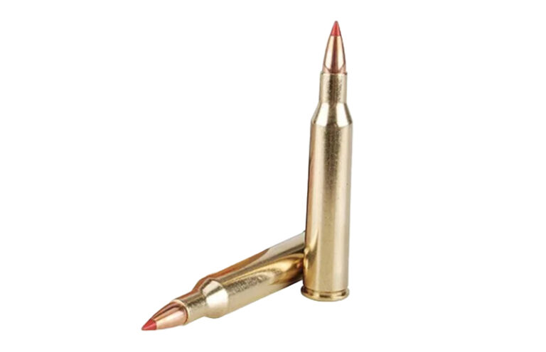 FEDERAL PREMIUM 30-06 SPRG 180GR NOSLER PARTITION AMMO 20RDS