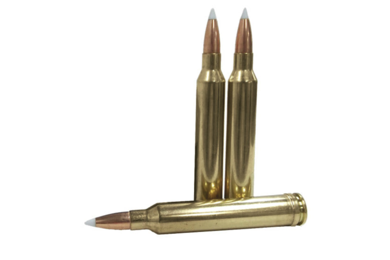FEDERAL PREMIUM 30-06 SPRG 180GR NOSLER PARTITION AMMO 20RDS