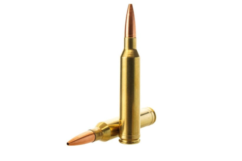 FEDERAL PREMIUM 30-06 SPRG 180GR NOSLER PARTITION AMMO 20RDS