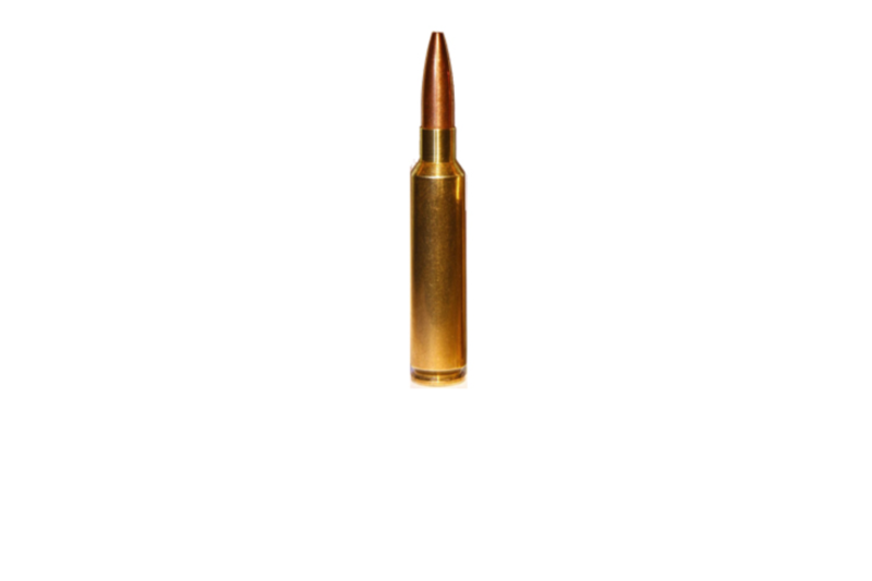 FEDERAL PREMIUM 30-06 SPRG 180GR NOSLER PARTITION AMMO 20RDS