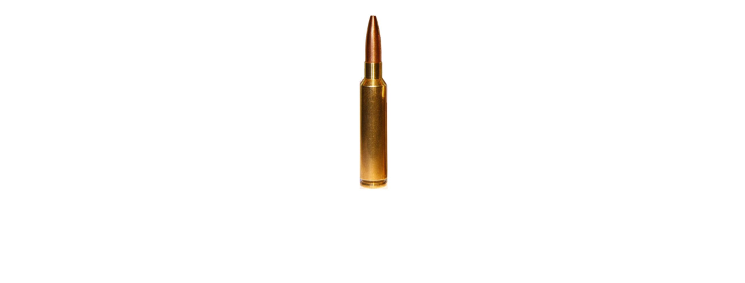 Screenshot 2026-08-13 at 1.39.58 PM BANNERMAN 284WIN 140GR AMMO 20RDS