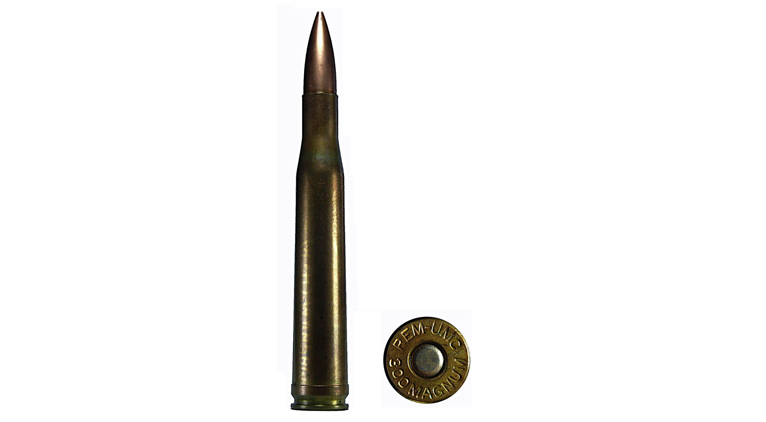 HSM 300 H&H 165GR SBT 20CT