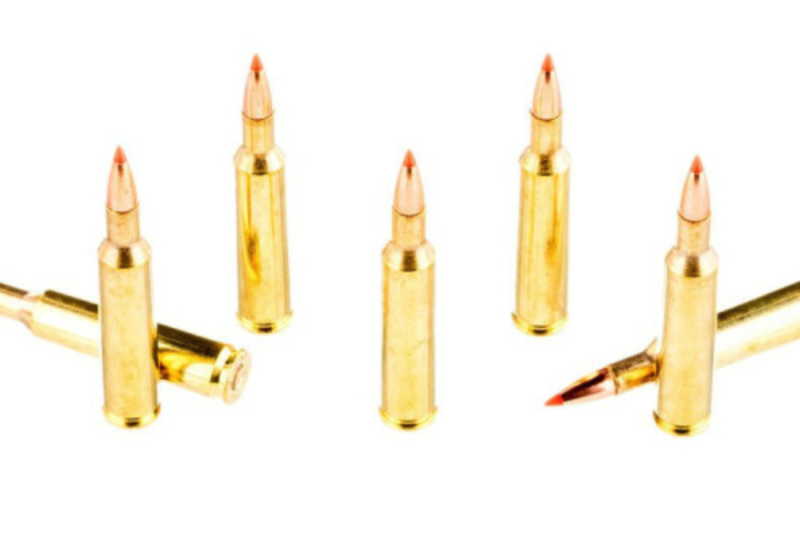 FEDERAL PREMIUM 30-06 SPRG 180GR NOSLER PARTITION AMMO 20RDS