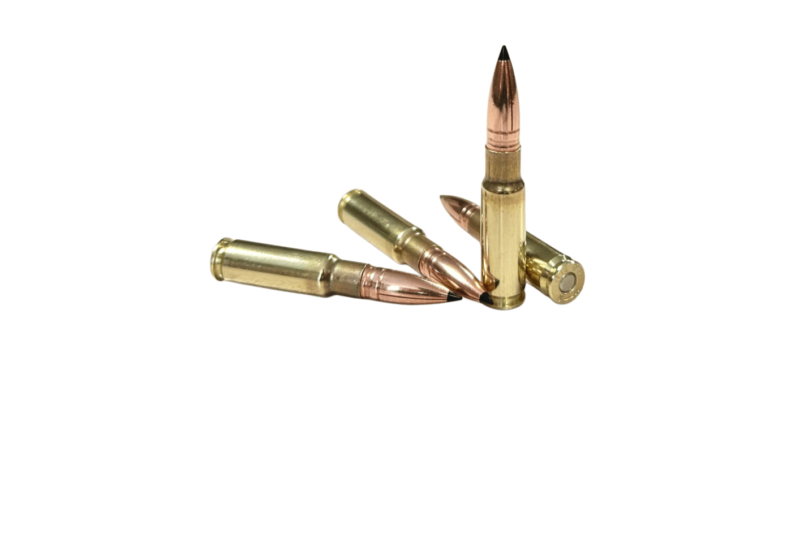 FEDERAL PREMIUM 30-06 SPRG 180GR NOSLER PARTITION AMMO 20RDS