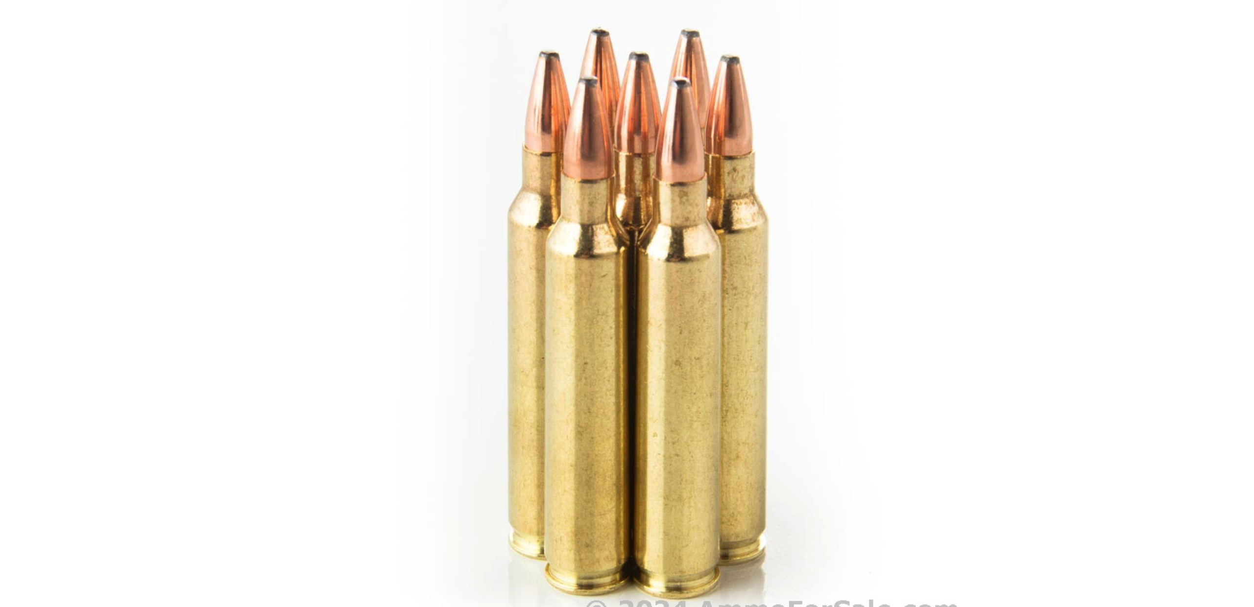 HORNADY SUPERFORMANCE 204 RUGER 32GR V-MAX AMMO 20RDS