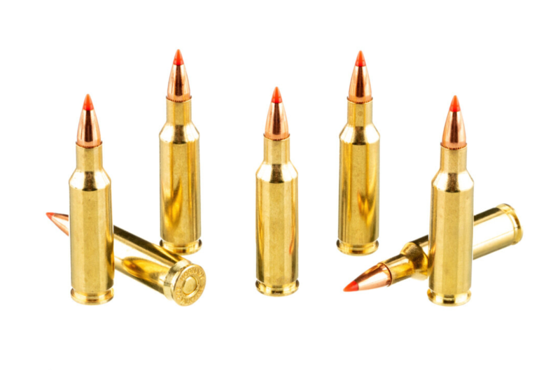 FEDERAL PREMIUM 30-06 SPRG 180GR NOSLER PARTITION AMMO 20RDS