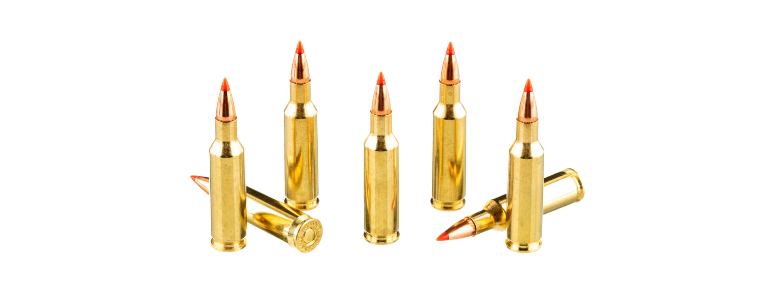 HORNADY BLACK 224 VALKYRIE 75GR BTHP AMMO 20RDS