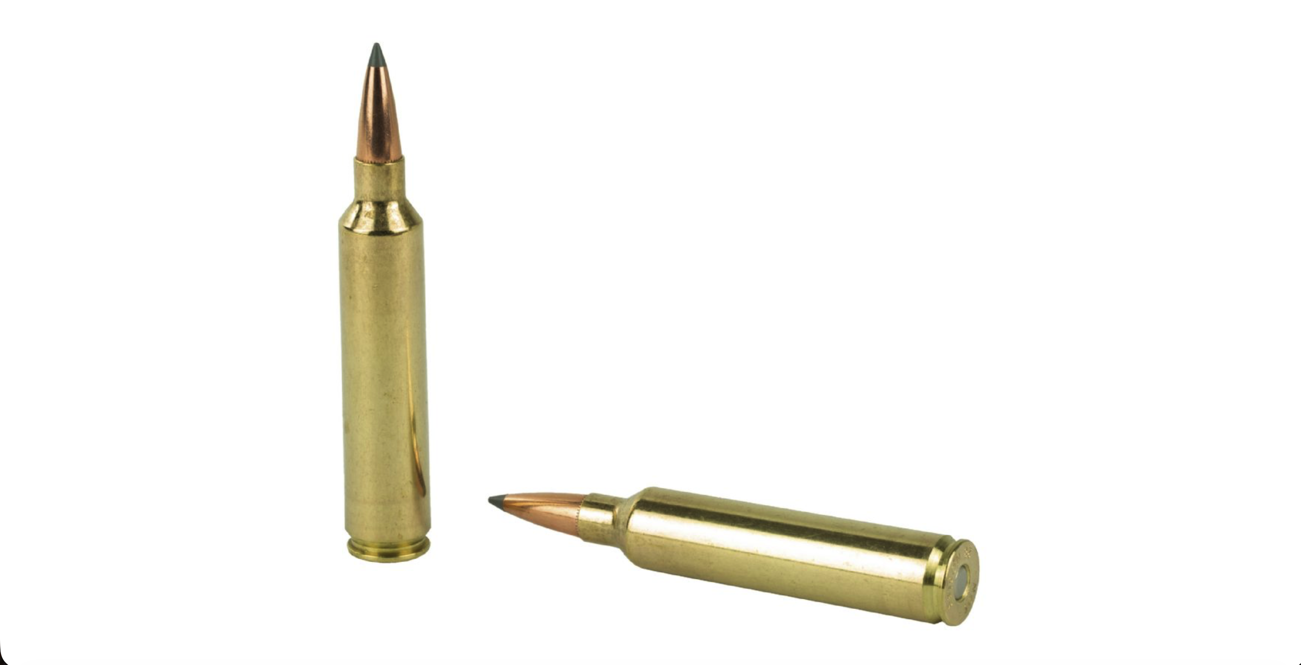 Screenshot 2026-08-21 at 1.09.38 PM NOSLER BALLISTIC TIP 28 NOSLER 160GR AMMO 20RDS