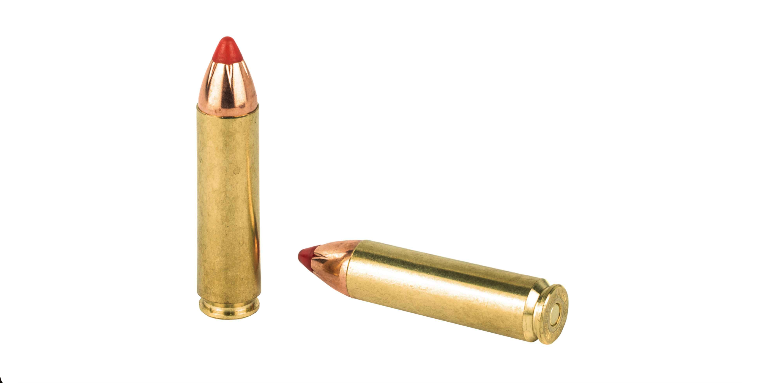 DEFENDER 450 BUSHMASTER 230GR RN AMMO 20RDS