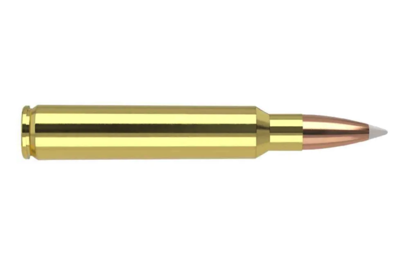 FEDERAL PREMIUM 30-06 SPRG 180GR NOSLER PARTITION AMMO 20RDS