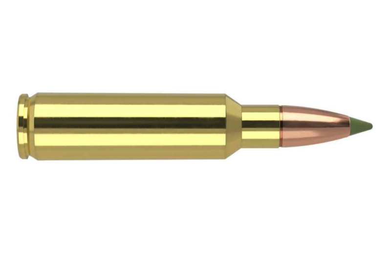 FEDERAL PREMIUM 30-06 SPRG 180GR NOSLER PARTITION AMMO 20RDS